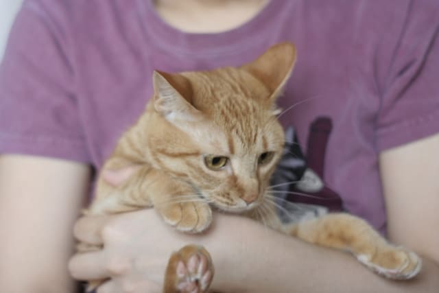 環境（学校など）に上手くなじめないとき