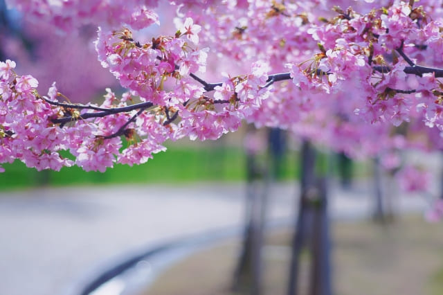 最後に…浪人することのメリットとは？