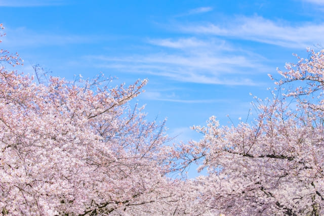 最後に〜あなた向きの宅浪生活を見つけていきましょう〜