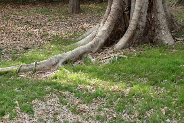 受験の不安を解消するために、不安の原因を突き止めよう