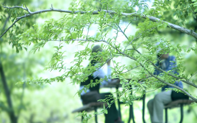 友人・知人などから就職先を紹介してもらおう