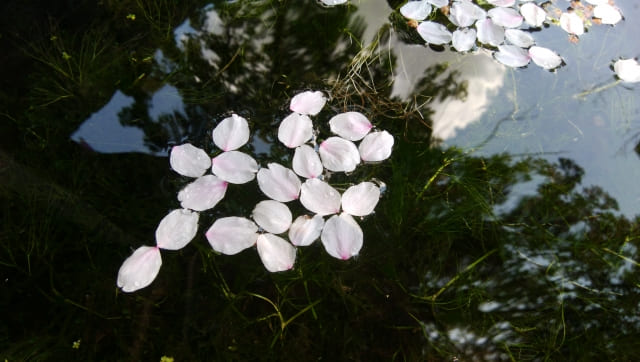 行きたい大学に行けなかったから