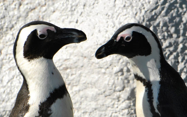 人に相談しよう