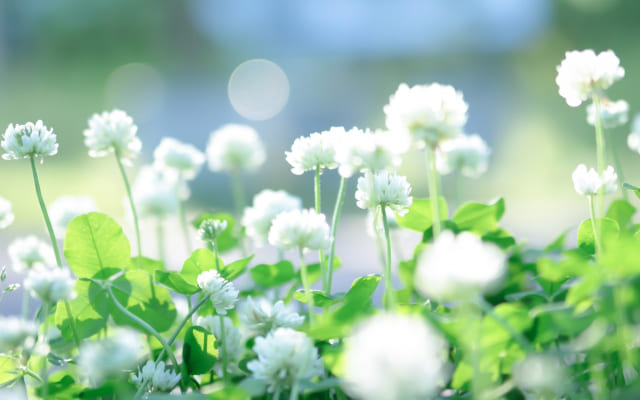 明るい未来を想像しよう