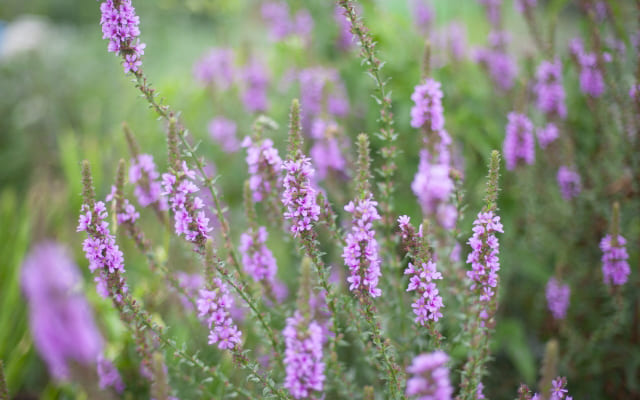 まとめ〜一人で悩まず、しっかり相談しましょう〜