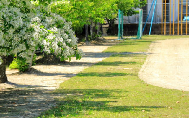 保健室登校とは