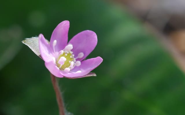 まとめ〜お子さんに合う道が見つかりますように〜
