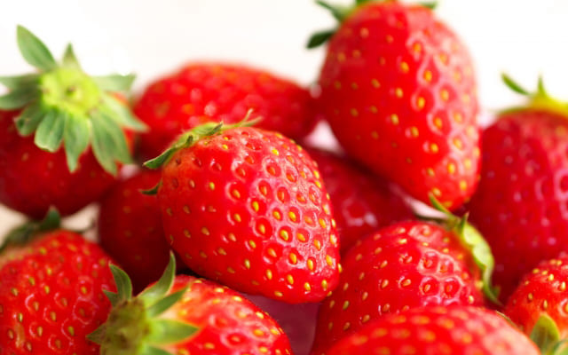 生理的情緒的状態…心身の状態を良好にすること