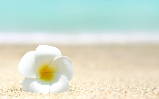 まとめ〜自己受容して、自己肯定感も高まりますように〜