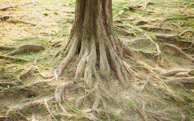 逃げない場合、どうするか