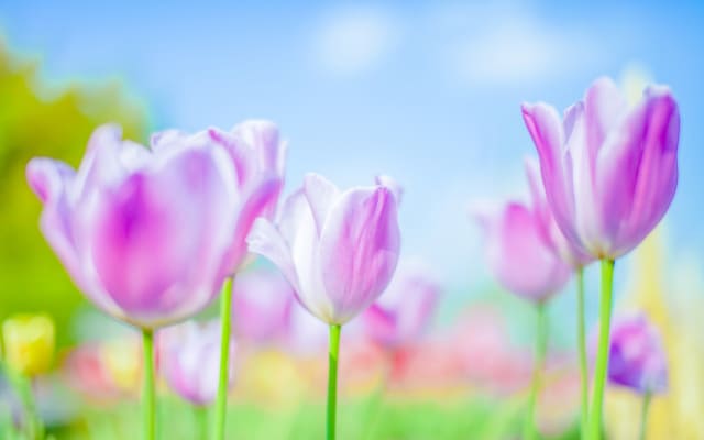 まとめ〜習慣を味方にしましょう〜