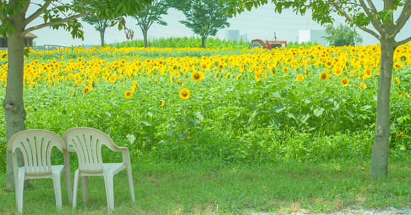 でも、無理をしてはいけません