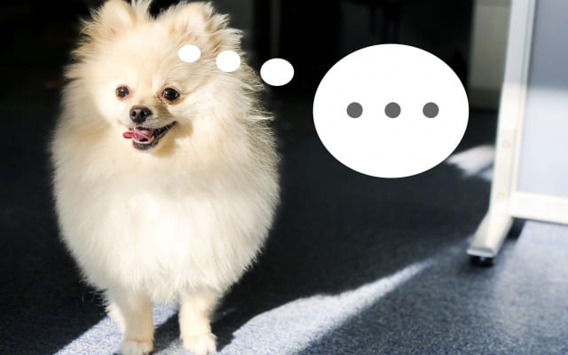 口下手で、本音や状況をうまく伝えられない