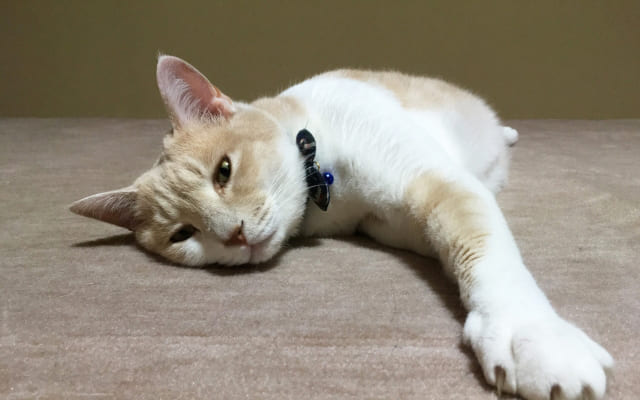 人から指摘されることがこわい