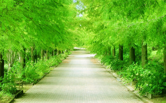 まとめ〜無理をせず、自分に合った環境を探しましょう〜