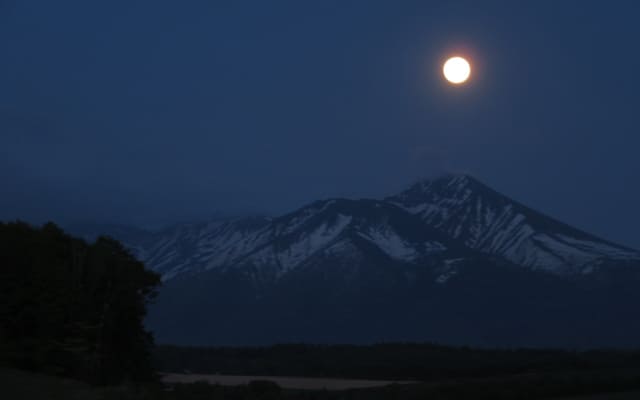 このまま頑張っても先が見えないから