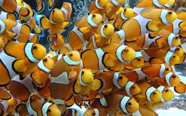 人間関係に疲れてしまったから