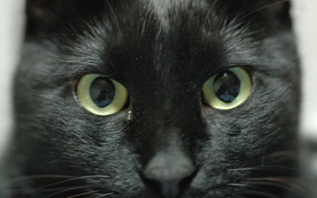 周りの目を気にしすぎる