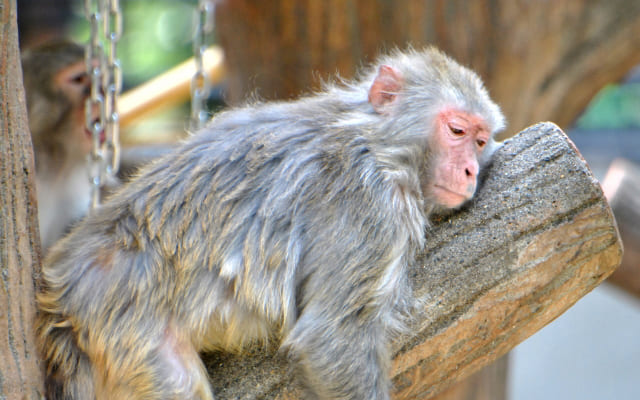 病み期の原因とは