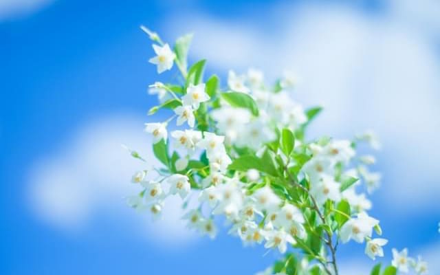 まとめ〜お子さんは、必ず次の一歩に進めます〜