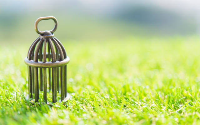 親の教育スタイルにより自分を見失う