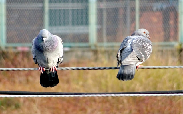 萎縮してしまう相手と距離をとる
