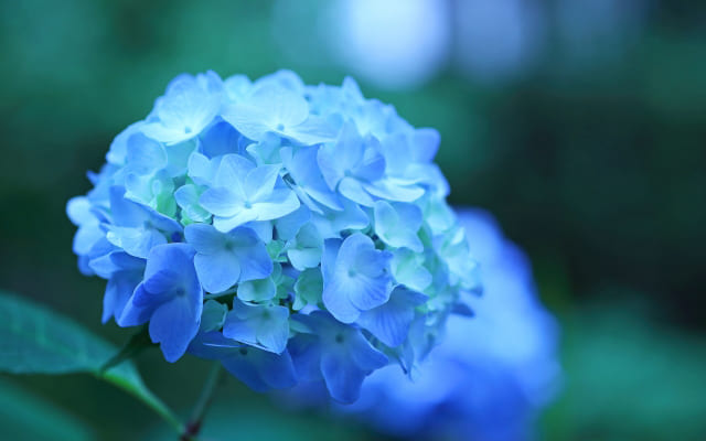 まとめ〜あんまり思いつめなくても大丈夫です～