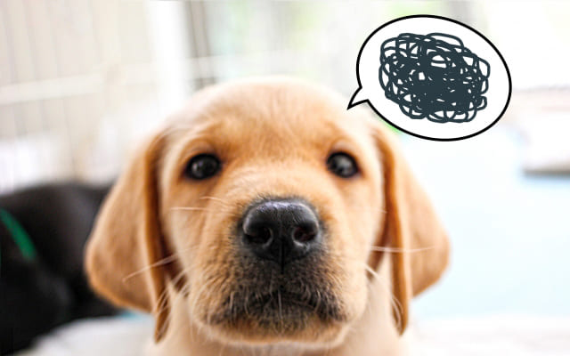 自分の苦手なコミュニケーションを考えてみる