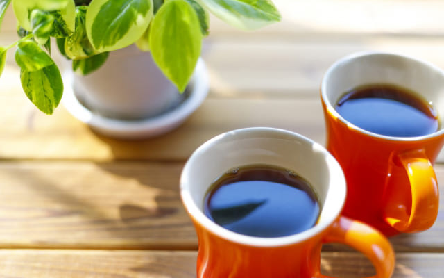 とりあえず出かけてみる