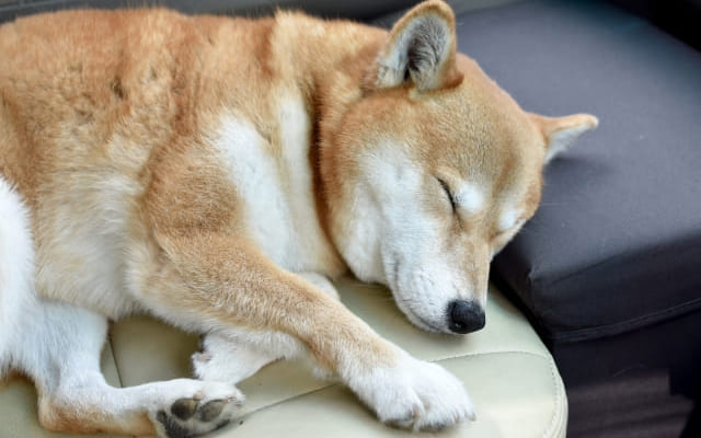 何も考えずに寝る