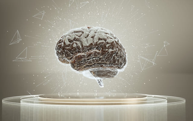 3つの脳内物質の影響で寂しくなる