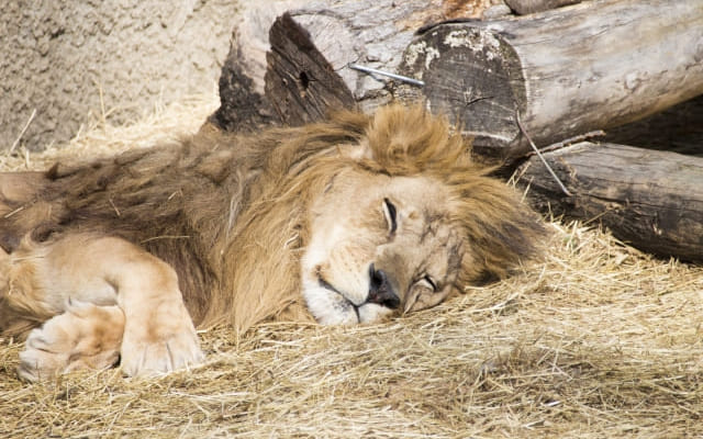 とりあえず思いっきり寝る！
