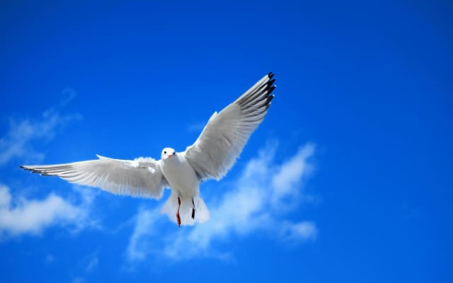 まとめ〜あなたの状況は、必ず変えることができます〜