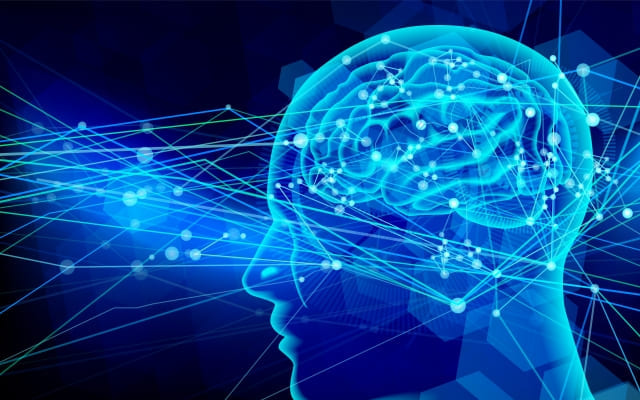 脳の仕組みはみんな同じ