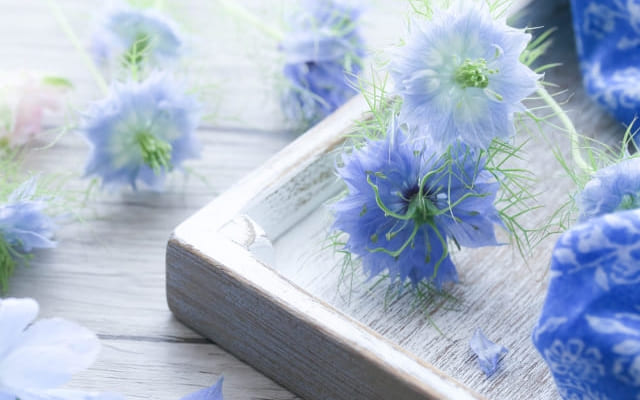 リフレッシュの日でメリハリをつけよう