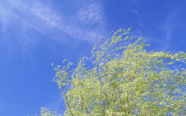 レジリエンスが高まる