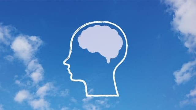 発達障害は、脳の機能の障害です