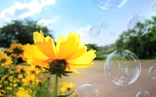 まとめ〜いろんな専門家・支援者を適切に頼りましょう〜