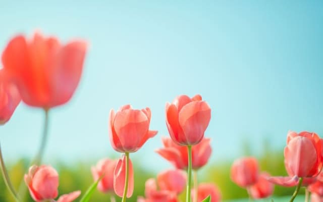 まとめ〜事前の準備と練習が大切です〜