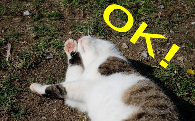 学校が嫌いなのは変なことじゃないという意識を持つ