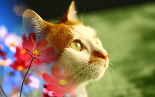 まとめ：学校が嫌いでもどうにかなる