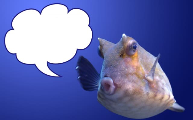 原因⑨褒め言葉をネガティブにとらえる