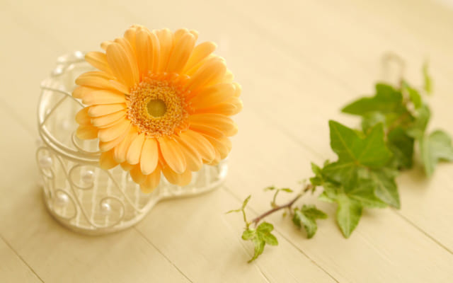 不登校の原因にこだわりすぎない