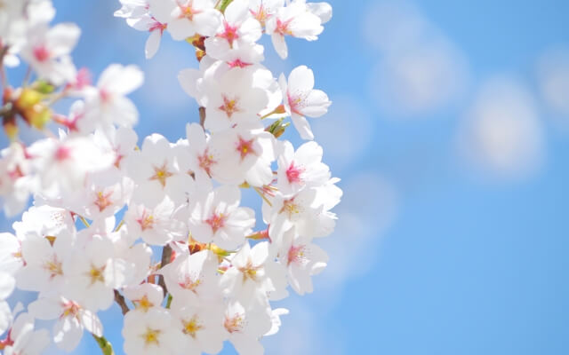 不登校が原因で存在する勉強の遅れは取り戻せる