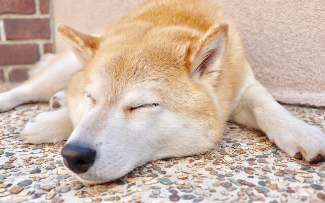 勉強せずに自分だけが怠けていると思うから