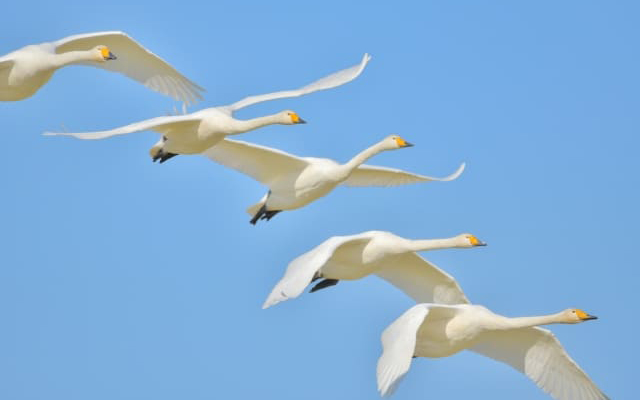 集団生活になじめない