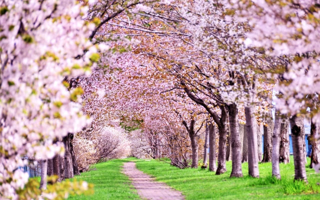 教室に入ることだけが解決策ではありません