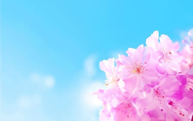 対処法①受かった学校に進学する