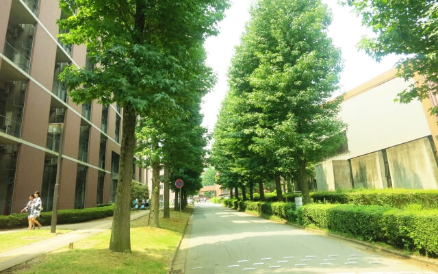 大学に進学しづらくなる