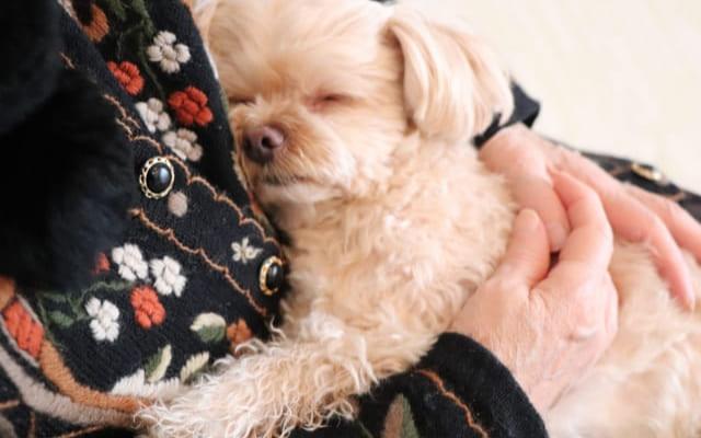 不登校だからといって将来を諦めないで